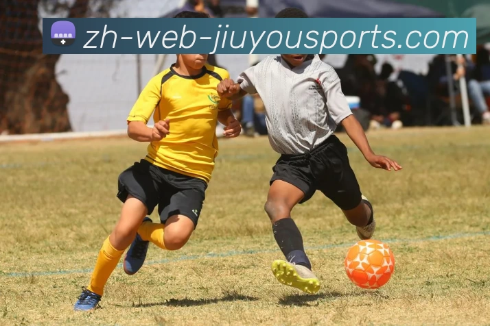 九游体育平台生态图