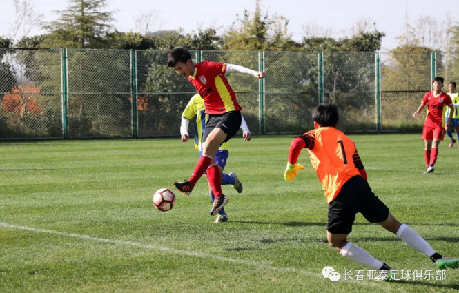  特雷维索青训成果丰硕，五名小将入选一线队  